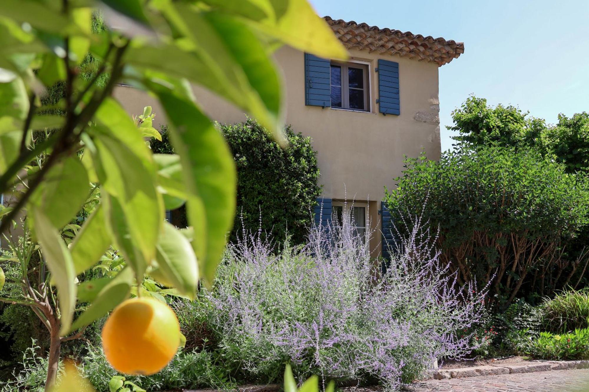 Domaine Du Moulin De Villefranche Casa de hóspedes Pernes-les-Fontaines