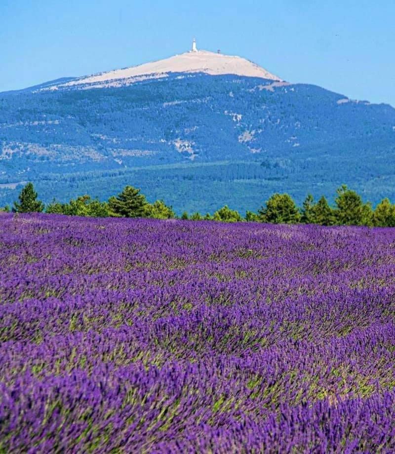 Domaine Du Moulin De Villefranche